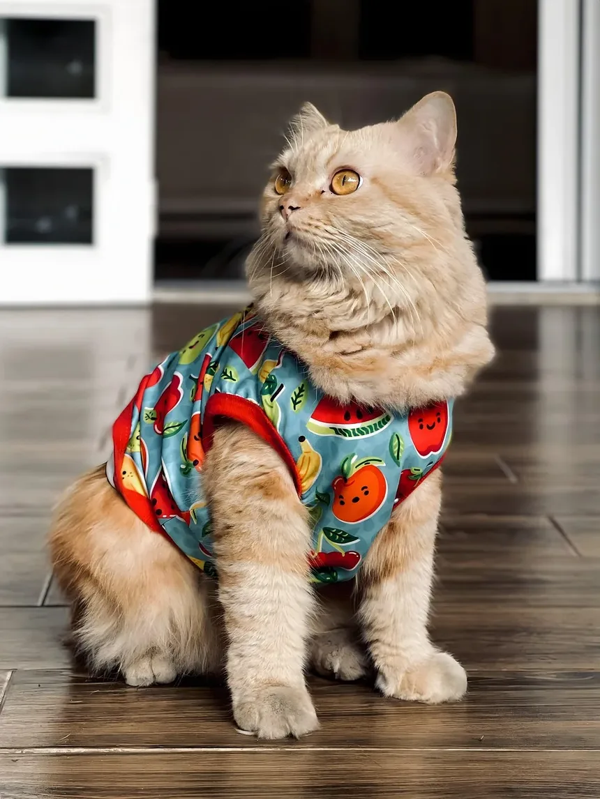Sinais de Intoxicação por Anticongelante em Gatos: Compreendendo os Sintomas e Tomando Medidas